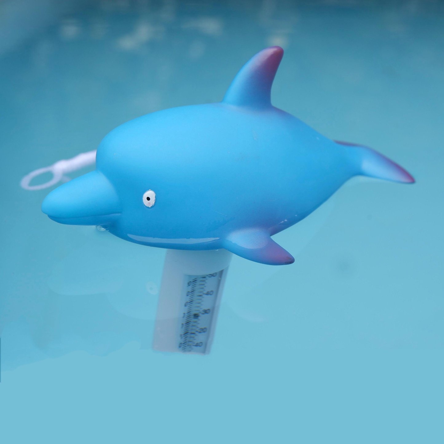 Waterproof digital dolphin pool thermometer