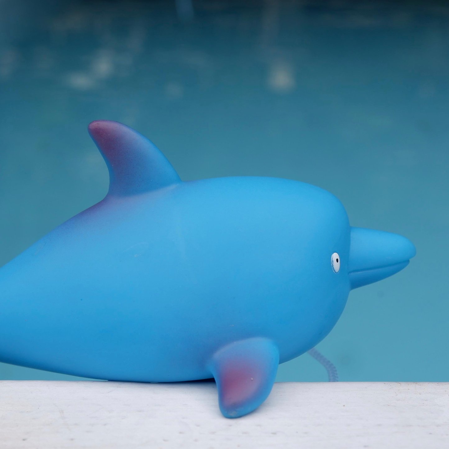 Waterproof digital dolphin pool thermometer