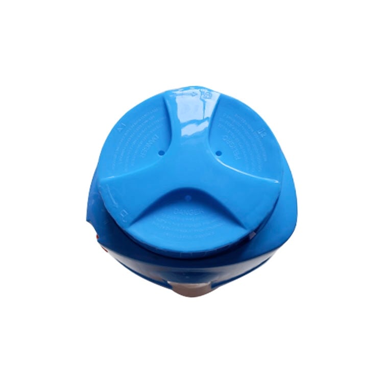 Chlorine dispenser with thermometer