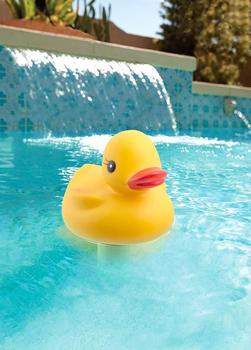 Digital duck thermometer for pool