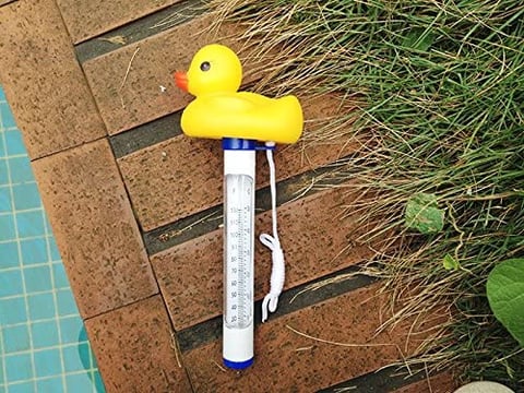Digital duck thermometer for pool