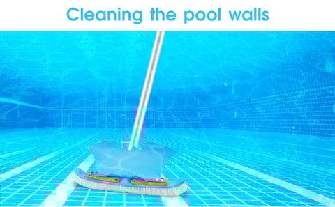 Pool wall whale plate cleaning brush