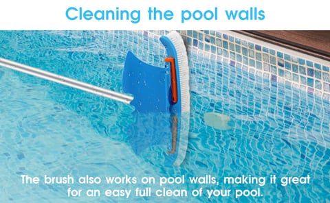 Pool wall whale plate cleaning brush