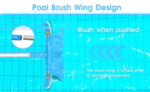 Pool wall whale plate cleaning brush