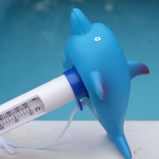 Waterproof digital dolphin pool thermometer