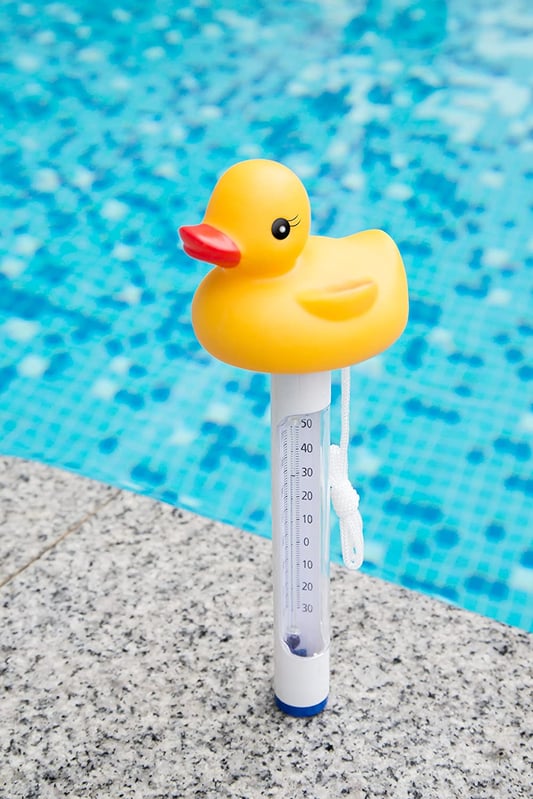 Digital duck thermometer for pool