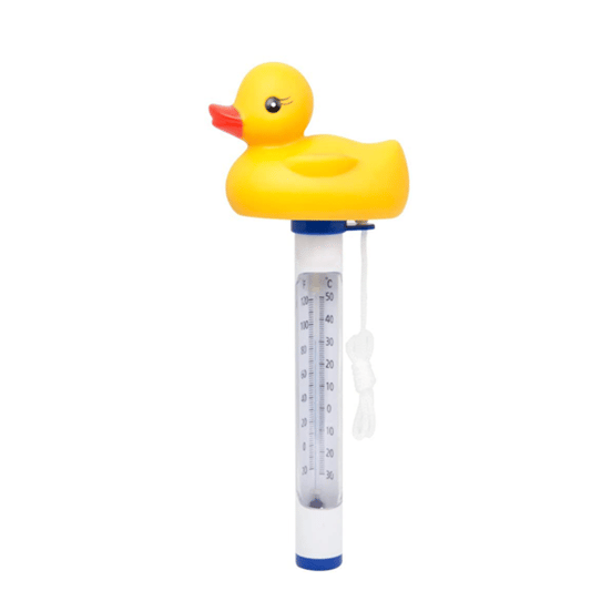 Digital duck thermometer for pool